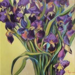 Iris